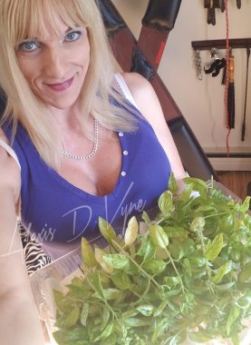 Random Pics 2018